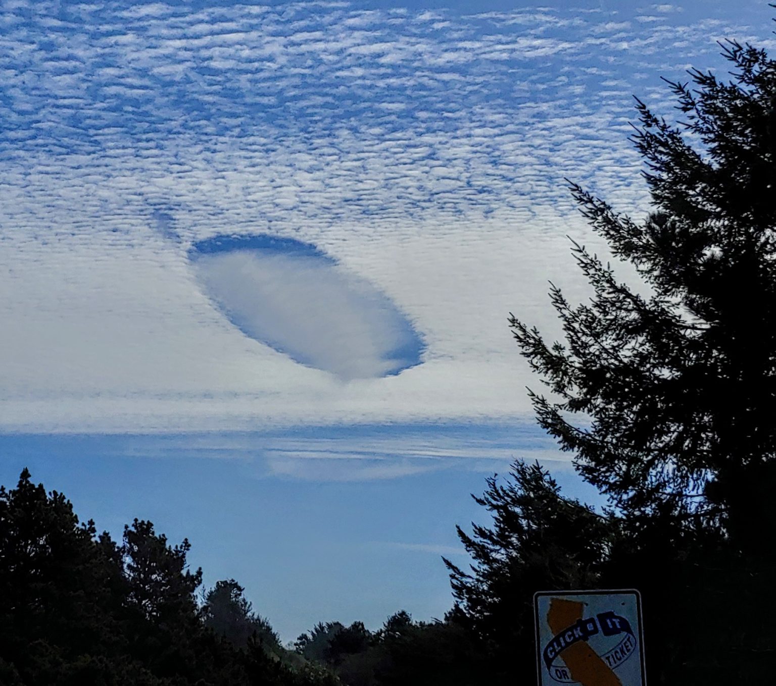 Fallstreak Hole – Mendonoma Sightings