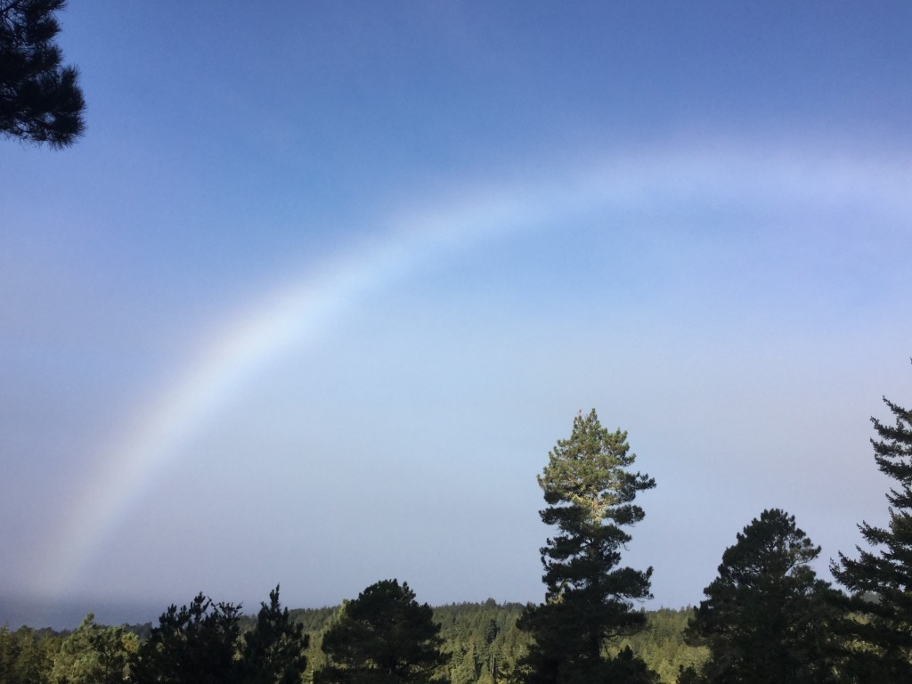 A Miraculous, Huge Fogbow! – Mendonoma Sightings