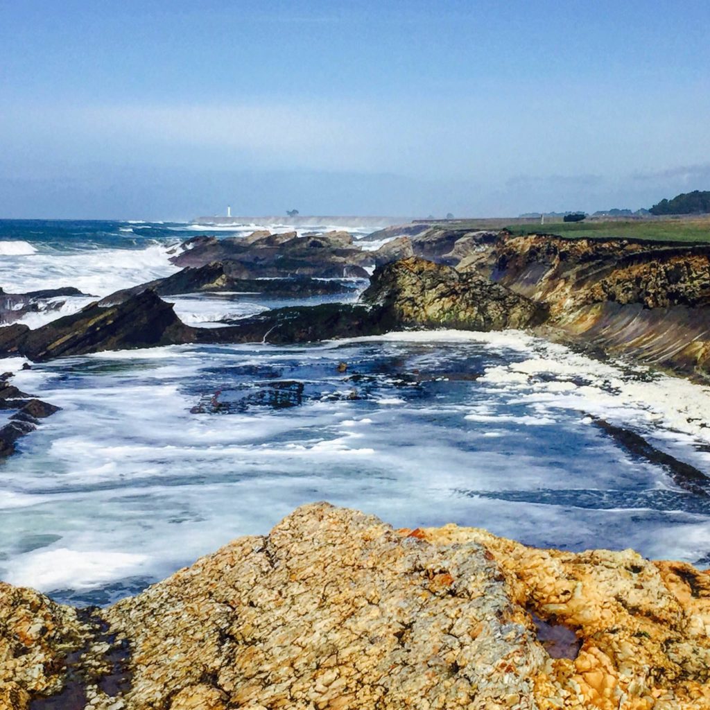 The beautiful Point Arena-Stornetta Lands, and Saturday’s Discover the ...