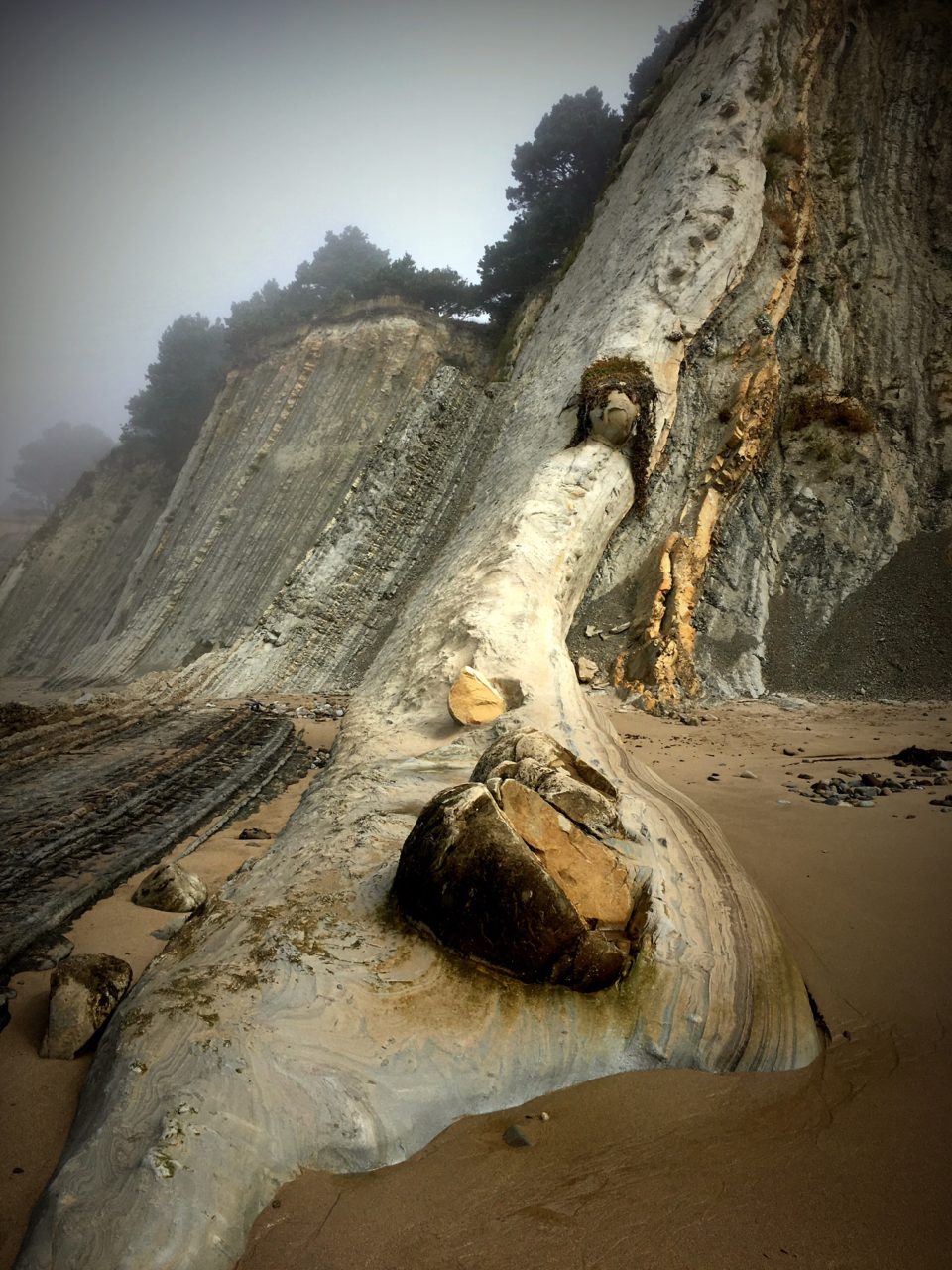 The fascinating Bowling Ball Beach at Schooner Gulch State Park