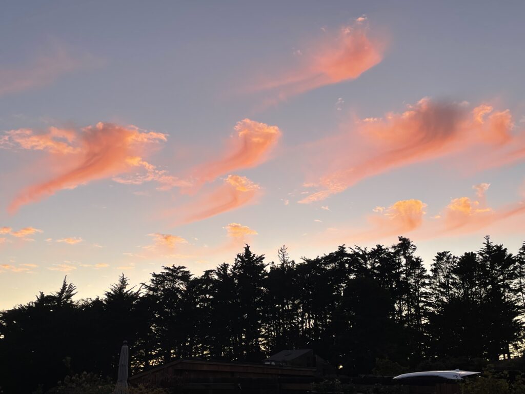 Pink Clouds Mendonoma Sightings